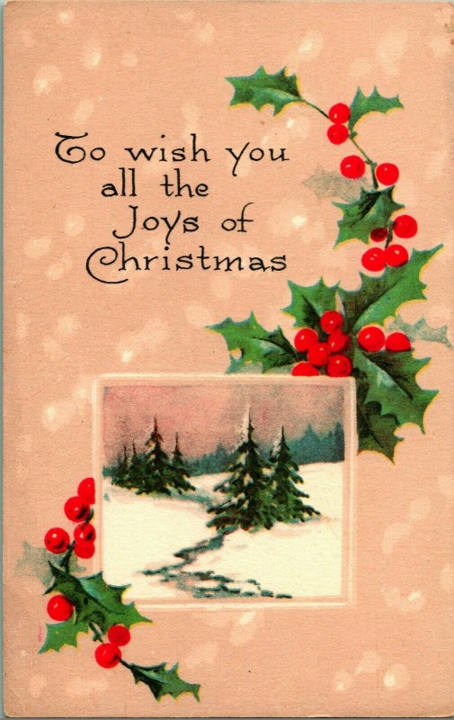 Joys of Christmas Holly Pink of Perfection Unused UNP 1900s Vtg Postcard