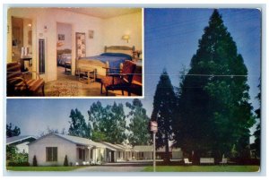 c1950's Redwood Court Motel Room View Santa Cruz California CA Vintage Postcard