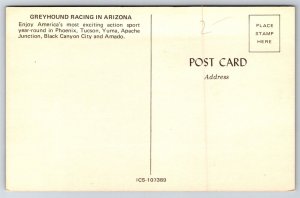 Greyhound Racing In Arizona Yuma Black Canyon City Amado Postcard L12