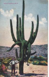 California Giant Cactus