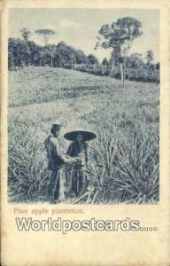 Pine Apple Plantation Pine Apple Plantation Malaya, Malaysia 1958 