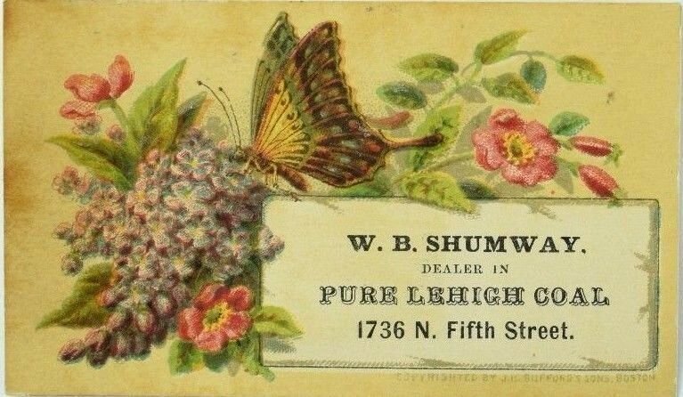 W. B Shumway Dealer In Pure Lehigh Coal Butterfly Wysteria P72