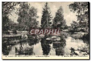Old Postcard Foret De Fontainebleau La Mare Aux Pigeons