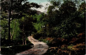 VINTAGE POSTCARD 'WHERE TWINES THE PATH' THE TROSSACHS SCOTLAND c. 1910