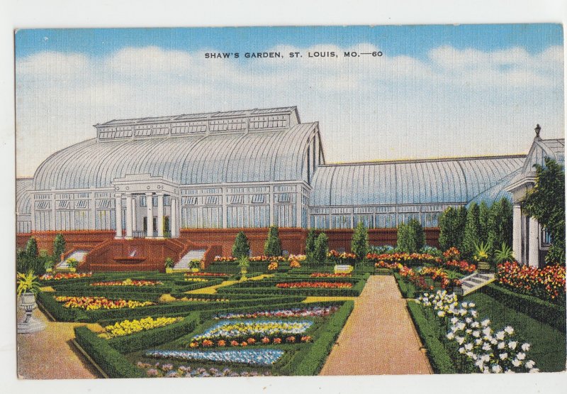 P3122 vintage postcard flowers shaw,s garden st louis MO