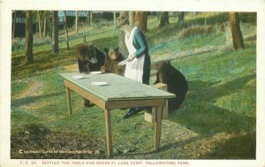 Setting Table Bears Lake Camp Yellowstone Park Wyoming Teich Postcard 20-11819