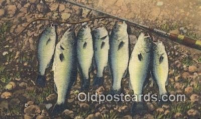 Ozarks, USA Fishing 1950 