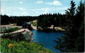 Postcard NB Moncton Fundy National Park Covered Bridge1965 K28
