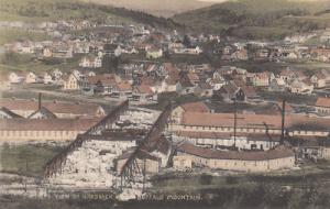E7808 VT, Hardwick Birds Eye View Postcard