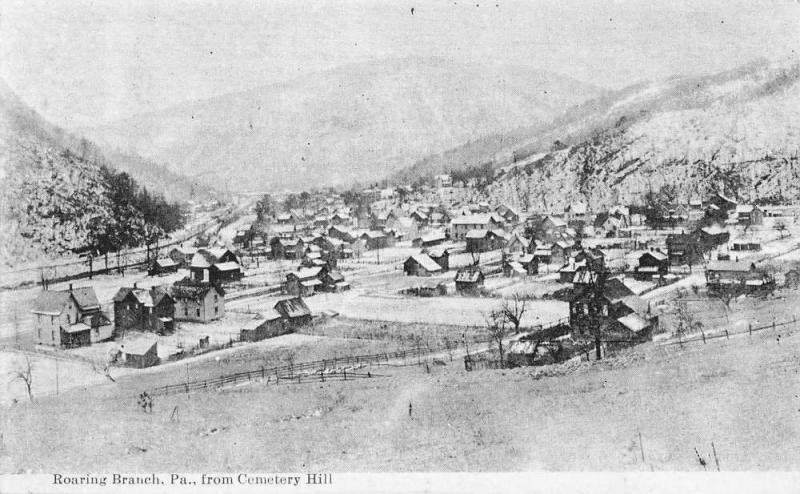 Roaring Branch Pennsylvania Cemetery Hill Birdseye View Postcard KA688504