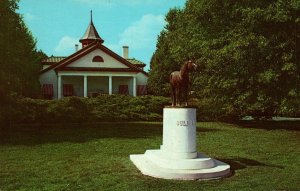 VINTAGE POSTCARD BULL LEA STATUE AT CALUMET FARM LEXINGTON KENTUCKY c. 1960s