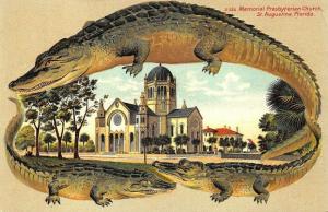 Langsdorf Alligator Border St Augustine Presbyterian Church S 555 Postcard