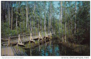 Georgia Waycross Okefenokee Swamp Park