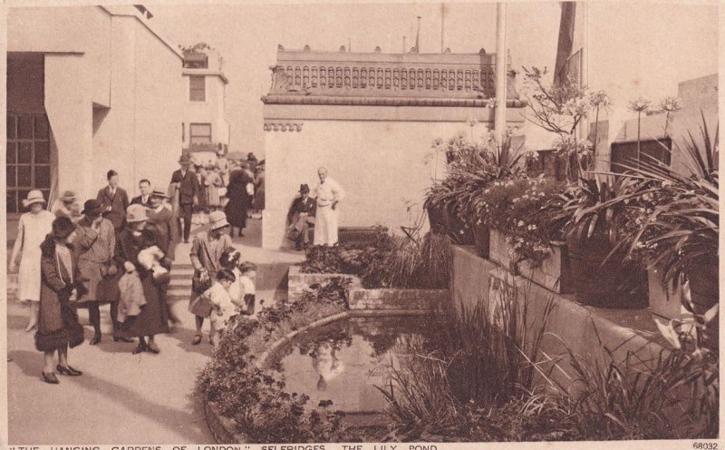 Hanging Gardens Selfridges Rose Garden Pool London Postcard