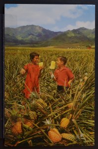 Young Boys with Field Ripe Pinappples in Hawaii