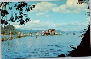 Postcard WA Knappton -  fish-net drying docks near Columbia River