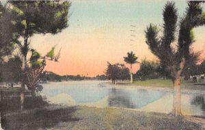 St Petersburg Florida Carribbean Pines Barnhill Like Hand Colored PC AA15076