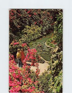 Postcard Sunken Gardens, St. Petersburg, Florida