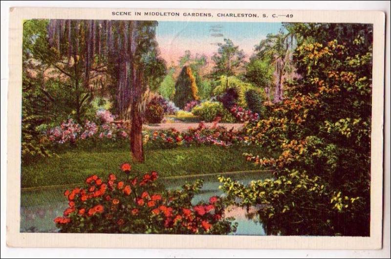 Middleton Gardens Charleston SC