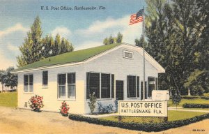 U.S. POST OFFICE RATTLESNAKE FLORIDA POSTCARD (c. 1940s)