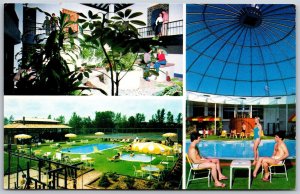 Vtg Massachusetts MA Northampton Hilton Inn Hotel Pool View Postcard