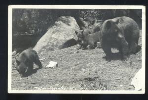 RPPC YOSEMITE NATIONAL PARK CALIFORNIA BROWN BEAR BEARS REAL PHOTO POSTCARD