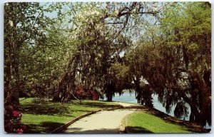 M-42391 Magnolia Garden Near Charleston South Carolina