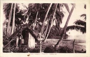 french polynesia, TAHITI, Native Hut (1920s) Spitz Curio Store Papeete Postcard 