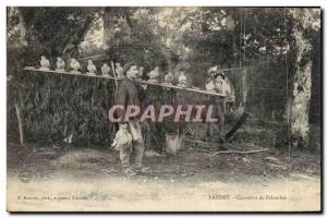 Old Postcard Hunting Landes Hunters Palombes TOP