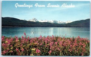 Spectacular scenic view from Admiralty Island - Greetings From Scenic Alaska