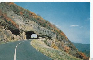 America Postcard - Blue Ridge Parkway, North Carolina    1279