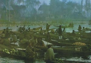 Dal Lake Floating Vegetable Market Kashmir Indian Postcard