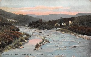 Junction of Esopus and Stony Clove Creeks Phoenicia, New York