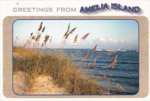 Florida Greetings From Amelia Island 2006