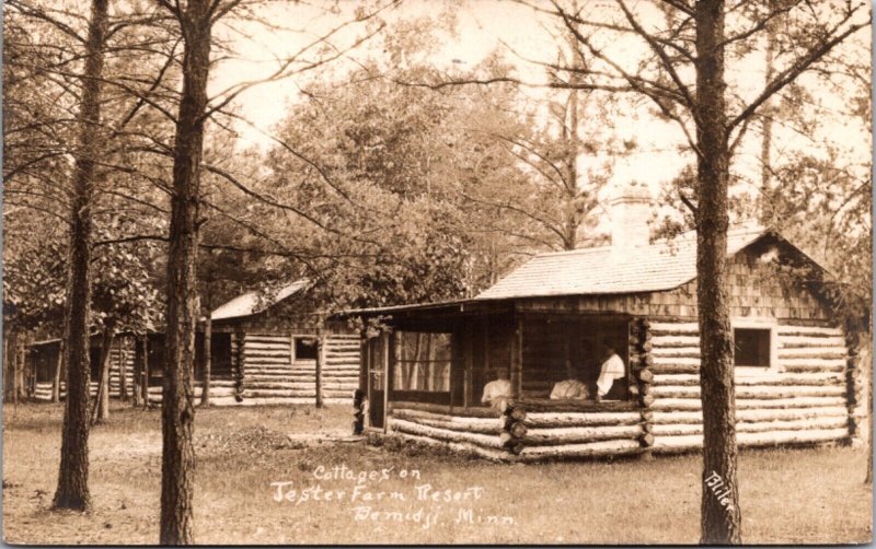 Real Photo Postcard Cottages on Jester Farm Resort in Bemidji, Minnesota