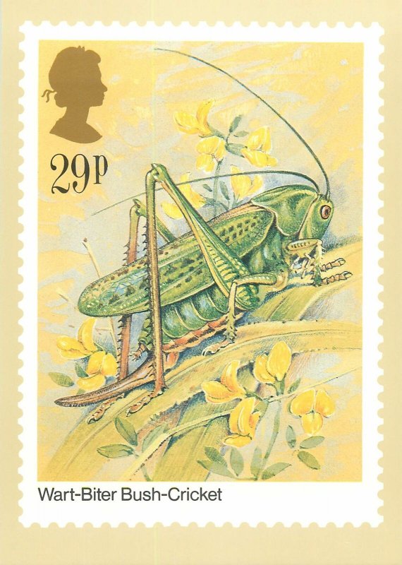 British stamp on Postcard Insects Wart-Biter Bush-Cricket by Gordon Beningfield