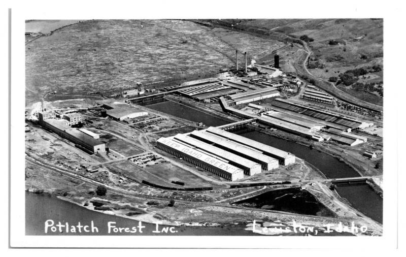RPPC Potlatch Forest Inc. Lewiston, ID Real Photo Postcard *5B
