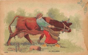 In Holland Cow 1910 liquid stains on card, wont' lay flat