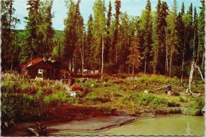 Alaska AK Tanana River near Fairbanks Homesteader's Cabin Vintage Postcard D56