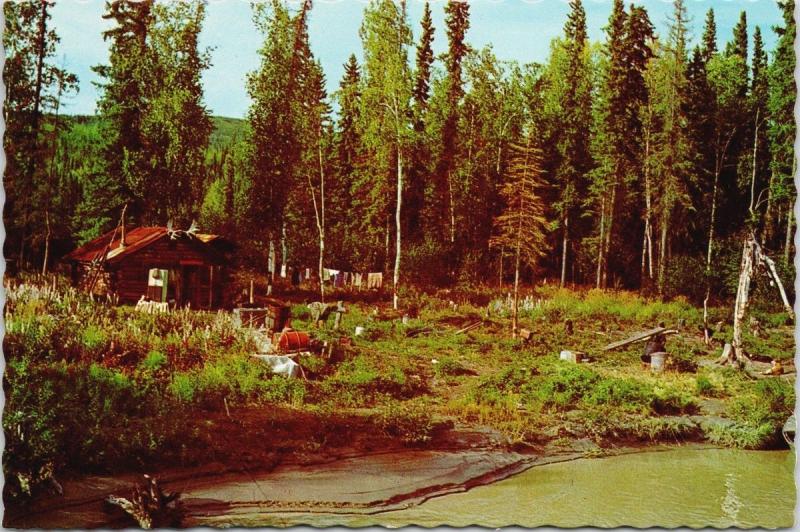 Alaska AK Tanana River near Fairbanks Homesteader's Cabin Vintage Postcard D56