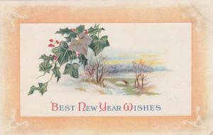 Best New Year Wishes - Greetings - Holly - DB