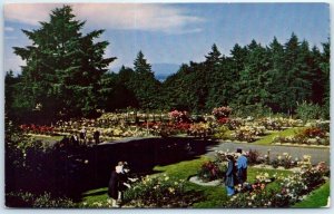 Postcard - Portland's Rose Test Gardens, Washington City Park - Portland, Oregon