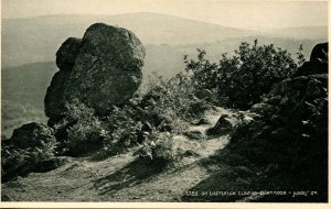 UK - England, Dartmoor. On Lustleigh Cleeve