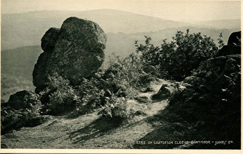 UK - England, Dartmoor. On Lustleigh Cleeve