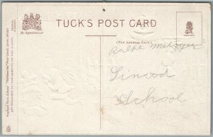 HALLOWEEN RAPHAEL TUCK SERIES 183 ANTIQUE POSTCARD