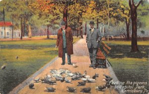 Feeding The Pigeons Harrisburg PA USA Pigeon 1910 