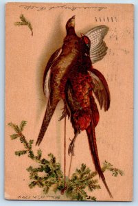 Bird Hunting Postcard Baltimore Maryland MD 1904 Posted Antique