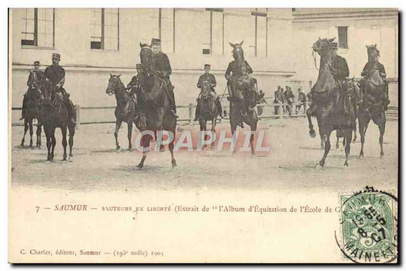 Old Postcard Saumur Horse Equestrian Jumper in freedom