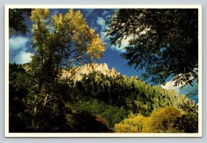 Cimarron Palisades at Cimarron Canyon New Mexico 4x6 Postcard 1576