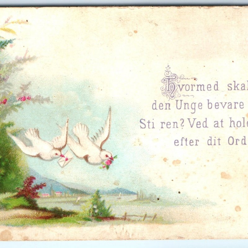 1886 Denmark Psalms 119:9 Danish Bible Quote Trade Card Path Keep Your Word C33